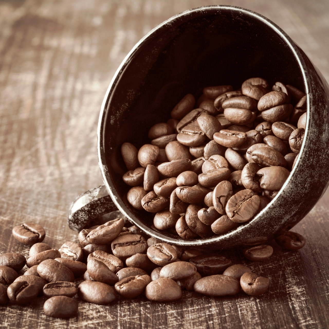 koffie, koffiekennis, koffiebonen, koffiezetmethoden, koffie inspiratie, koffietips